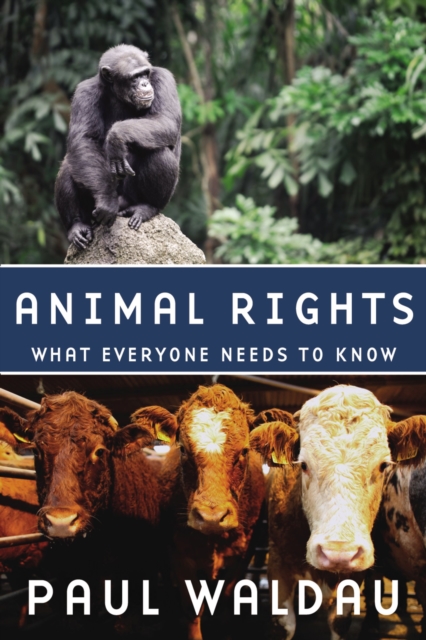Animal Rights : What Everyone Needs to Know?, EPUB eBook