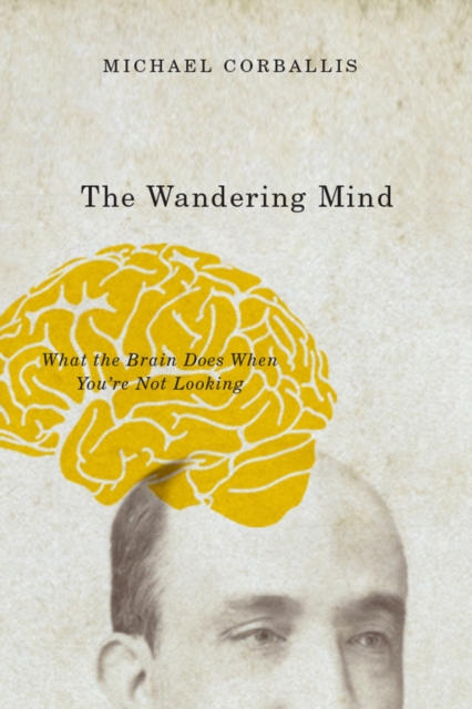 The Wandering Mind : What the Brain Does When You're Not Looking, EPUB eBook