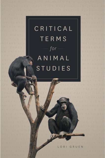 Critical Terms for Animal Studies, Paperback / softback Book