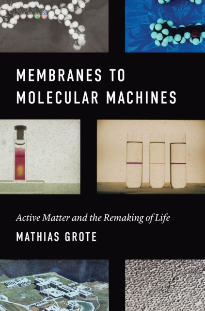 Membranes to Molecular Machines : Active Matter and the Remaking of Life, EPUB eBook