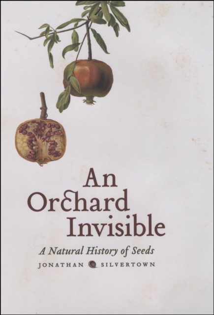 An Orchard Invisible : A Natural History of Seeds, PDF eBook