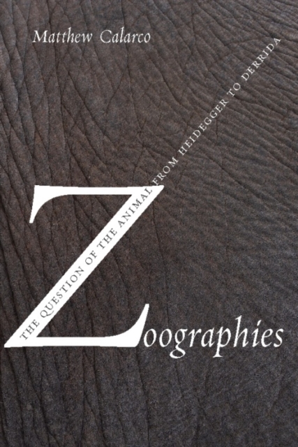 Zoographies : The Question of the Animal from Heidegger to Derrida, EPUB eBook