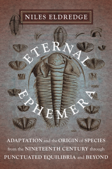 Eternal Ephemera : Adaptation and the Origin of Species from the Nineteenth Century Through Punctuated Equilibria and Beyond, EPUB eBook