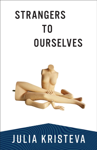 Strangers to Ourselves, EPUB eBook