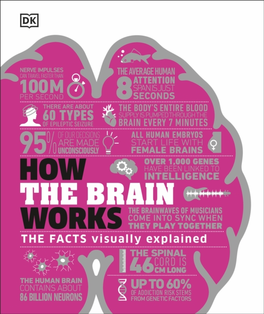 How the Brain Works : The Facts Visually Explained, EPUB eBook