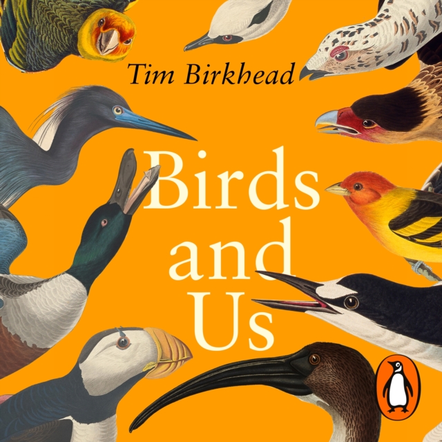 Birds and Us : A 12,000 Year History, from Cave Art to Conservation, eAudiobook MP3 eaudioBook