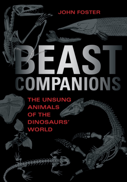 Beast Companions : The Unsung Animals of the Dinosaurs' World, Hardback Book