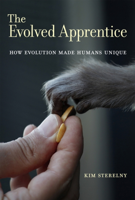 The Evolved Apprentice : How Evolution Made Humans Unique, PDF eBook