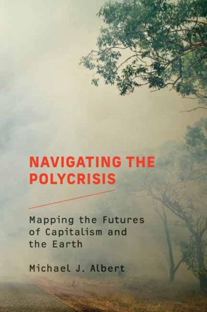 Navigating the Polycrisis : Mapping the Futures of Capitalism and the Earth, Paperback / softback Book