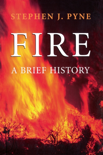 Fire : A Brief History, EPUB eBook
