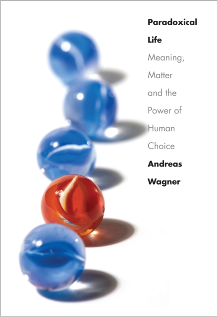 Paradoxical Life : Meaning, Matter, and the Power of Human Choice, PDF eBook