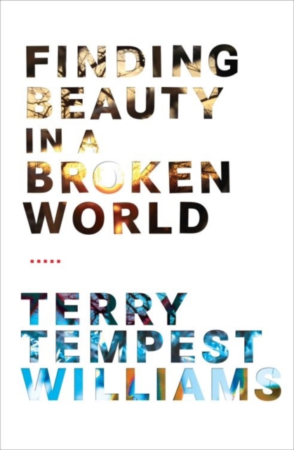 Finding Beauty in a Broken World, EPUB eBook