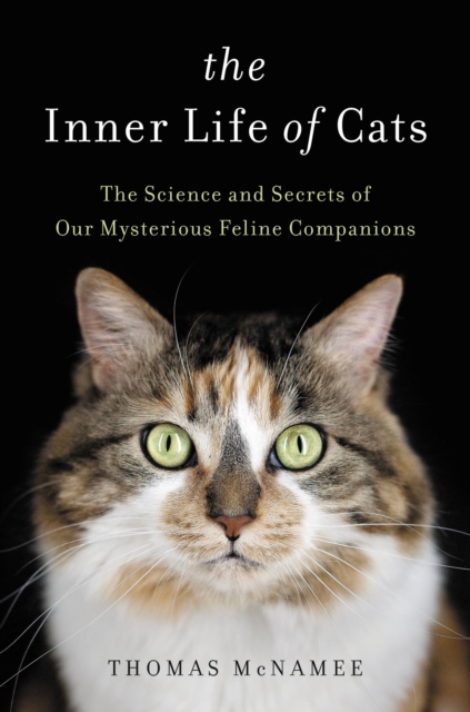The Inner Life of Cats : The Science and Secrets of Our Mysterious Feline Companions, EPUB eBook