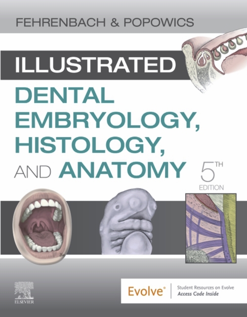 Illustrated Dental Embryology, Histology, and Anatomy E-Book : Illustrated Dental Embryology, Histology, and Anatomy E-Book, EPUB eBook
