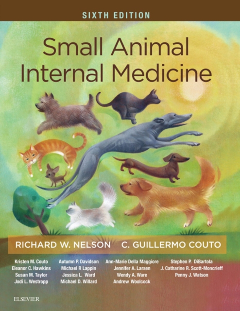 Small Animal Internal Medicine - E-Book : Small Animal Internal Medicine - E-Book, EPUB eBook