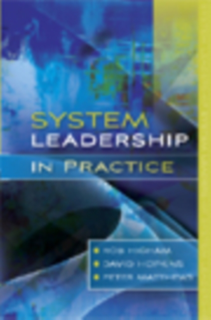 System Leadership in Practice, PDF eBook