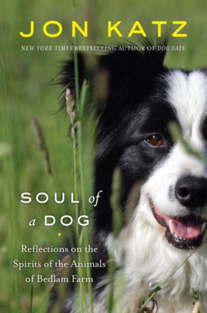 Soul of a Dog, EPUB eBook