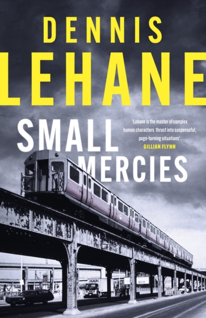 Small Mercies : A Times and Sunday Times Thriller of the Month, Hardback Book