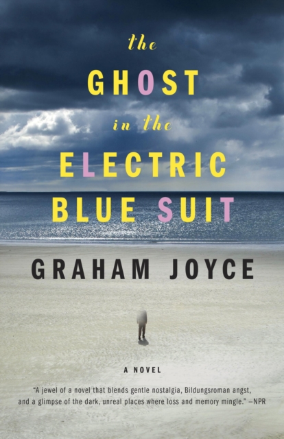 Ghost in the Electric Blue Suit, EPUB eBook