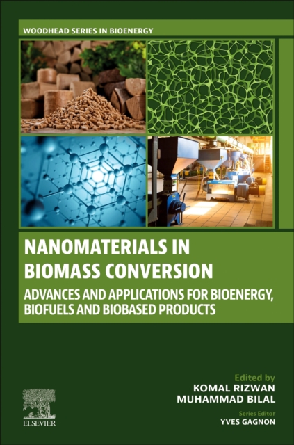 Nanomaterials in Biomass Conversion : Advances and Applications for Bioenergy, Biofuels, and Bio-based Products, Paperback / softback Book