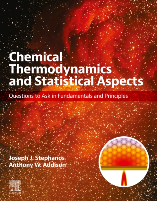 Chemical Thermodynamics and Statistical Aspects : Questions to Ask in Fundamentals and Principles, EPUB eBook
