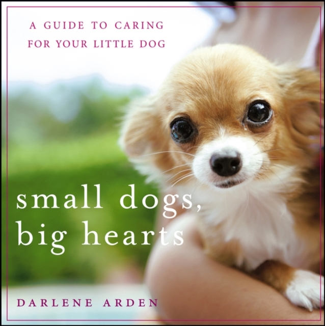 Small Dogs, Big Hearts : A Guide to Caring for Your Little Dog, PDF eBook