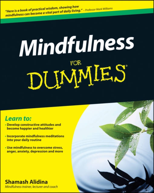 Mindfulness For Dummies, EPUB eBook
