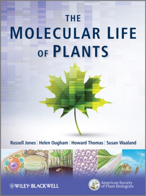 The Molecular Life of Plants, PDF eBook