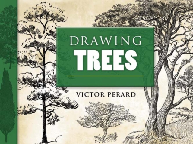 Drawing Trees, Paperback / softback Book