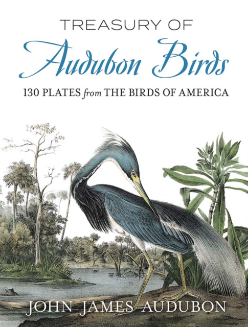 Treasury of Audubon Birds : 130 Plates from the Birds of America, Paperback / softback Book