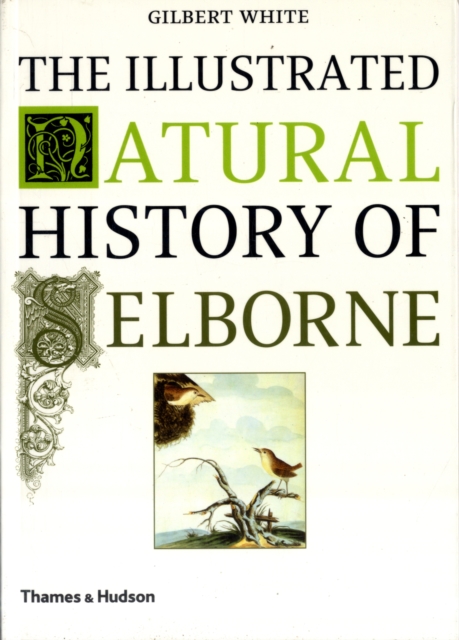 The Illustrated Natural History of Selborne, Paperback / softback Book