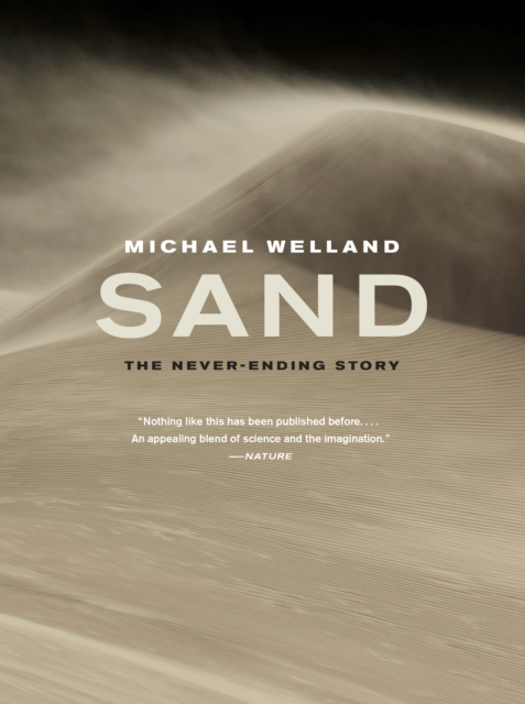 Sand : The Never-Ending Story, EPUB eBook
