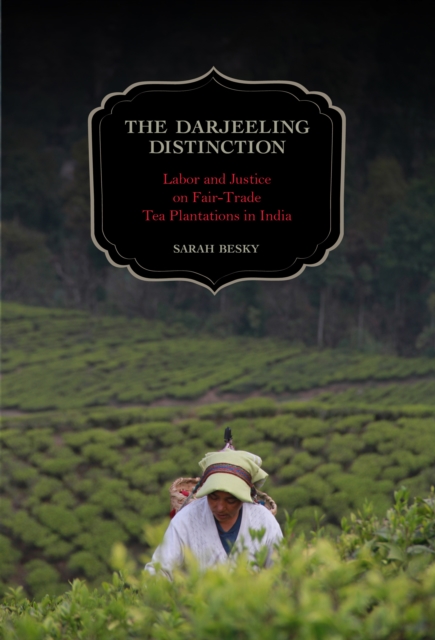 The Darjeeling Distinction : Labor and Justice on Fair-Trade Tea Plantations in India, EPUB eBook