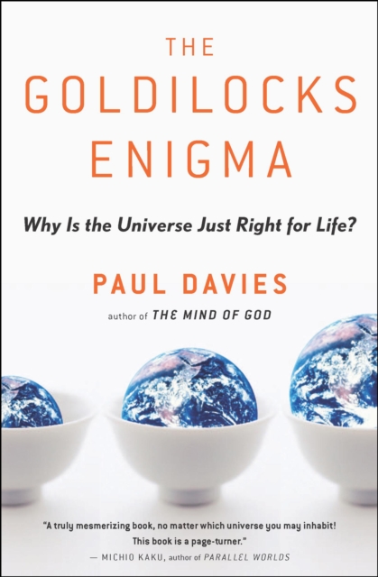 The Goldilocks Enigma : Why Is the Universe Just Right for Life?, EPUB eBook