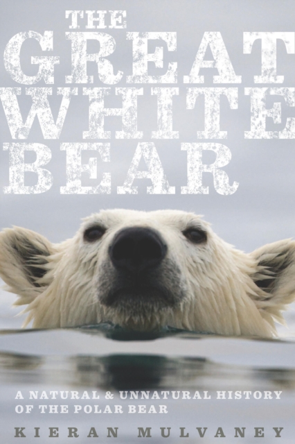 The Great White Bear : A Natural & Unnatural History of the Polar Bear, EPUB eBook