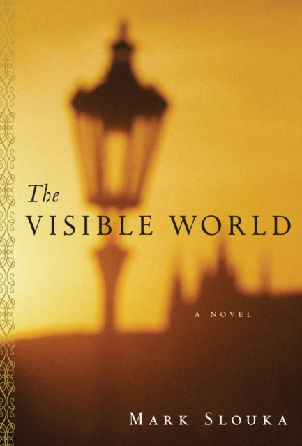 The Visible World : A Novel, EPUB eBook