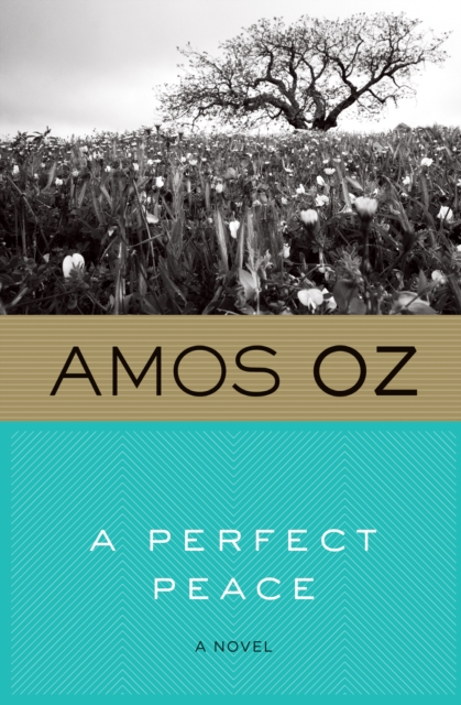 A Perfect Peace : A Novel, EPUB eBook