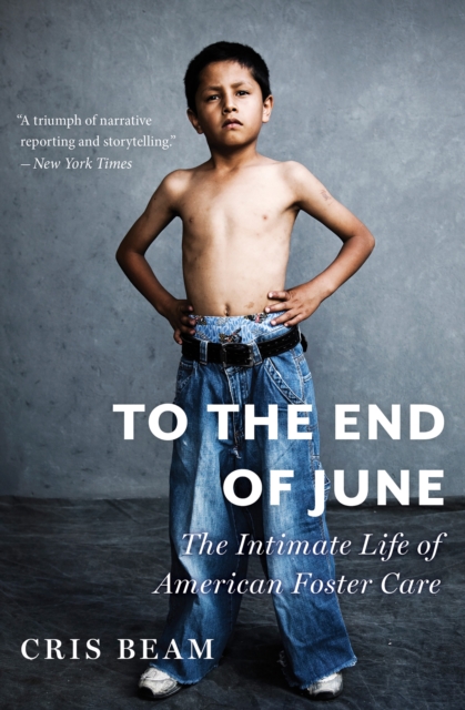To the End of June : The Intimate Life of American Foster Care, EPUB eBook