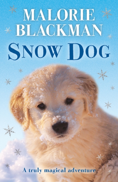 Snow Dog, Paperback / softback Book
