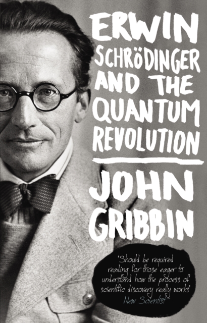 Erwin Schrodinger and the Quantum Revolution, Paperback / softback Book