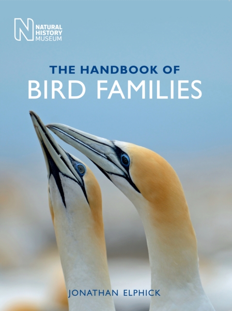 The Handbook of Bird Families, Paperback / softback Book