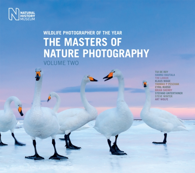 Wildlife Photographer of the Year : The Masters of Nature Photography Volume 2, Hardback Book