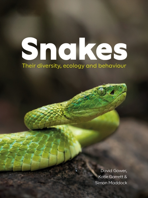 Snakes : Their diversity, ecology and behaviour, Paperback / softback Book