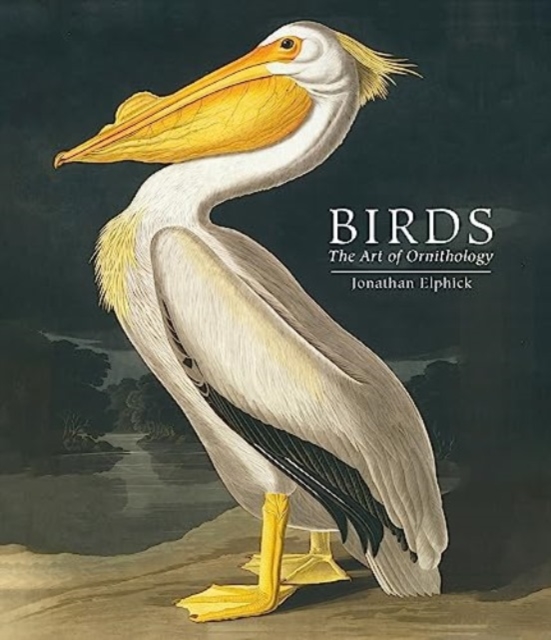 Birds : The Art of Ornithology (Pocket edition), Hardback Book