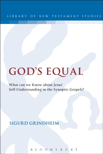 God's Equal : What Can We Know About Jesus' Self-Understanding?, PDF eBook