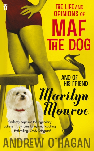 The Life and Opinions of Maf the Dog, and of his friend Marilyn Monroe, Paperback / softback Book