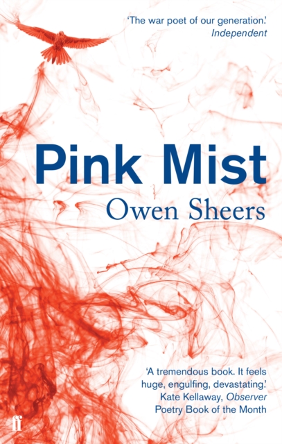 Pink Mist, Paperback / softback Book