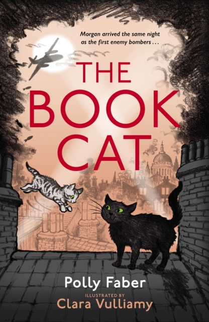 The Book Cat, Paperback / softback Book
