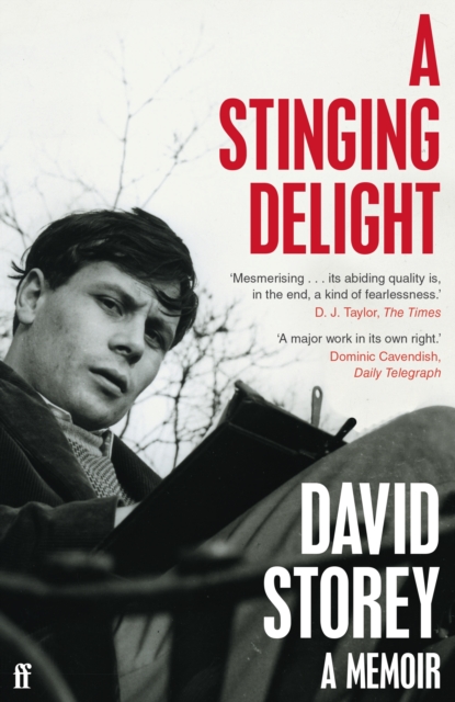 A Stinging Delight : A Memoir, Paperback / softback Book
