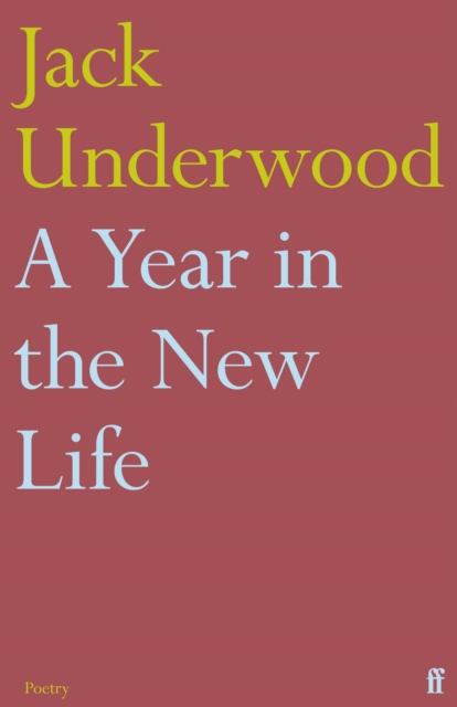 A Year in the New Life, EPUB eBook